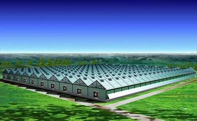 乡村振兴中的上亿元农业扶持资金 申报条件与投资核心解析