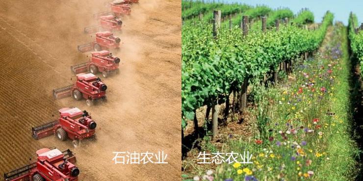 未来10年中国农业的投资机遇在哪里