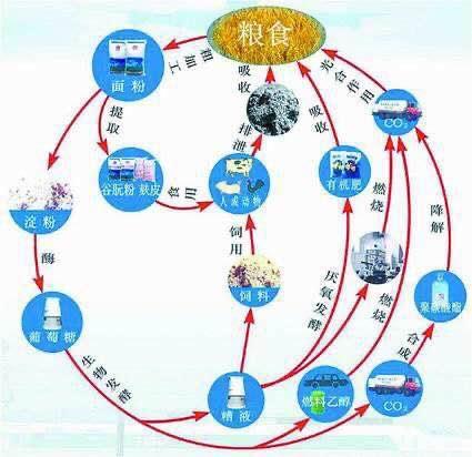 巨头围城之外，中小投资者的农业新蓝海 新型农业产业链为何最受青睐？